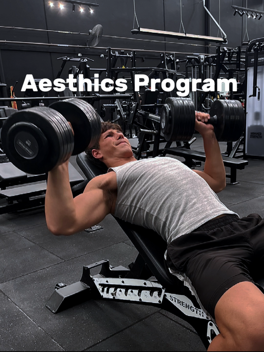 Aesthetics Program (Digital Product)